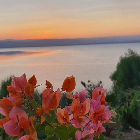 Comfy Stays Sea View Apartments At Deadsea Samarah Resort Sweimeh Экстерьер фото