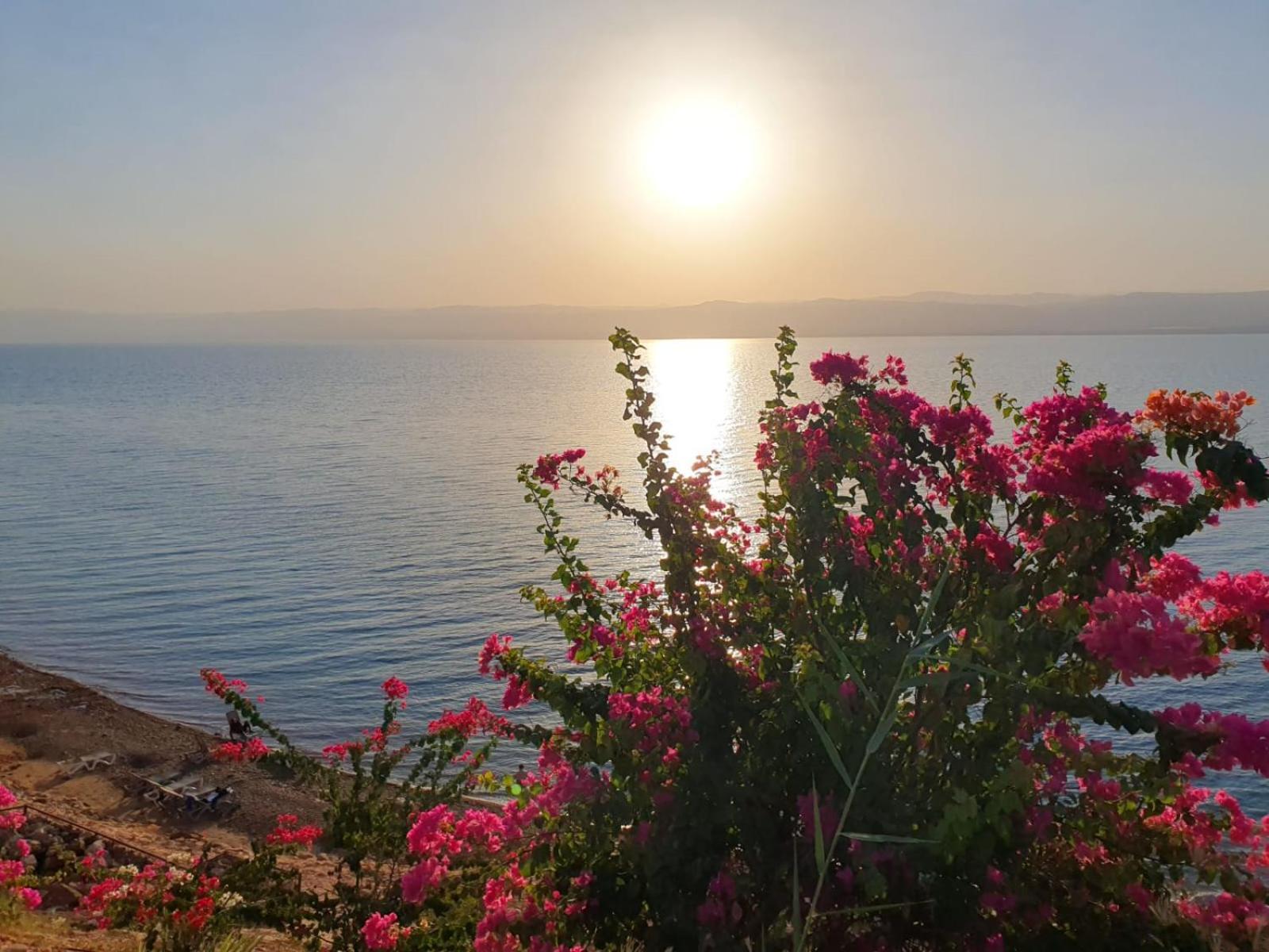 Comfy Stays Sea View Apartments At Deadsea Samarah Resort Sweimeh Экстерьер фото